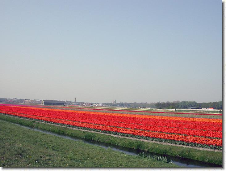 Næste billede